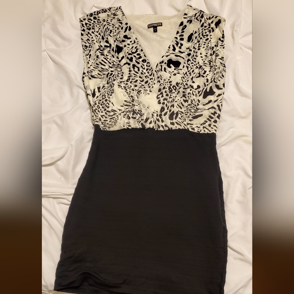 Womens Express dress size L